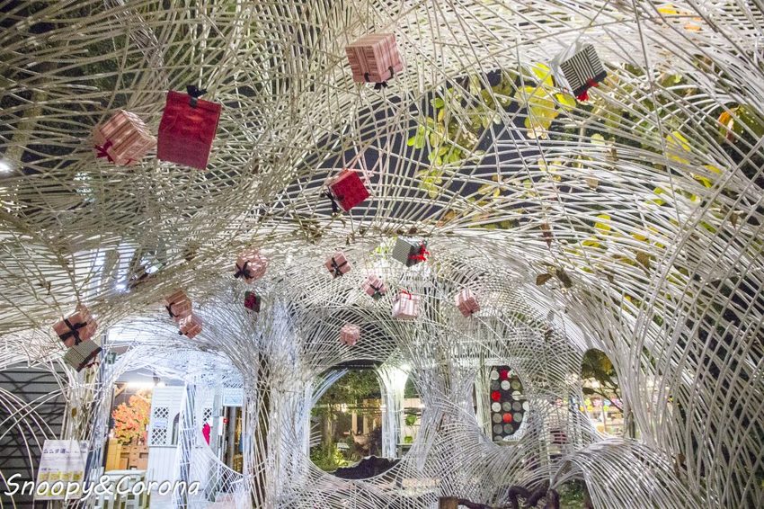 【玩樂.台中】大坑景點/紙箱王創意園區~巨大蘑菇、南瓜馬車、松鼠溜滑梯…紙是太吸睛,適合親子同遊