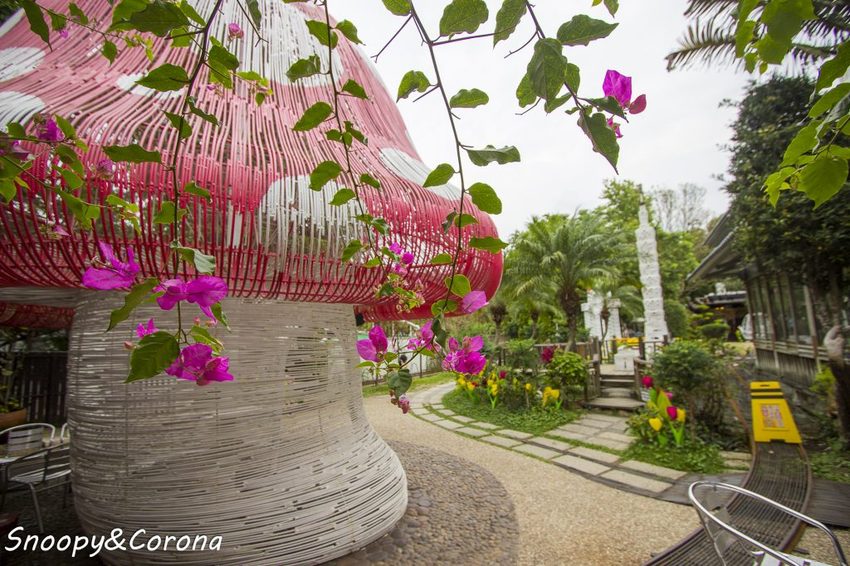 【玩樂.台中】大坑景點/紙箱王創意園區~巨大蘑菇、南瓜馬車、松鼠溜滑梯…紙是太吸睛,適合親子同遊