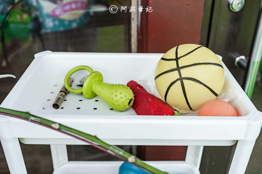 跑吧孩子,跑吧 孩子,paobo,寵物友善餐廳,寵物餐廳,台中寵物餐廳,豐原寵物餐廳,台中餐廳,銅鐘美食