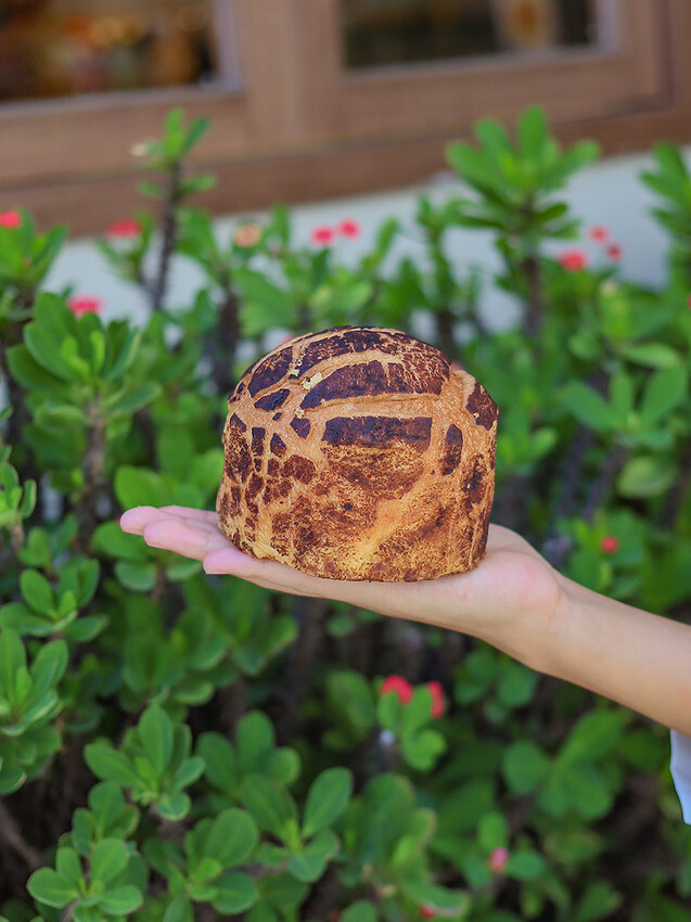 小鳥吃吐司竹北店 | 席捲北台灣文青韓風麵包店$40元麵包任選3個$100元價格親民超實惠