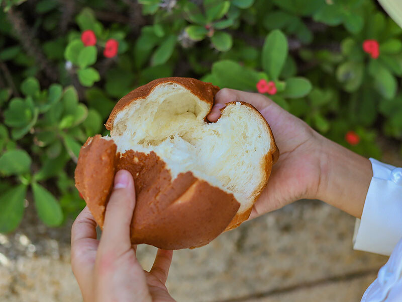 小鳥吃吐司竹北店 | 席捲北台灣文青韓風麵包店$40元麵包任選3個$100元價格親民超實惠