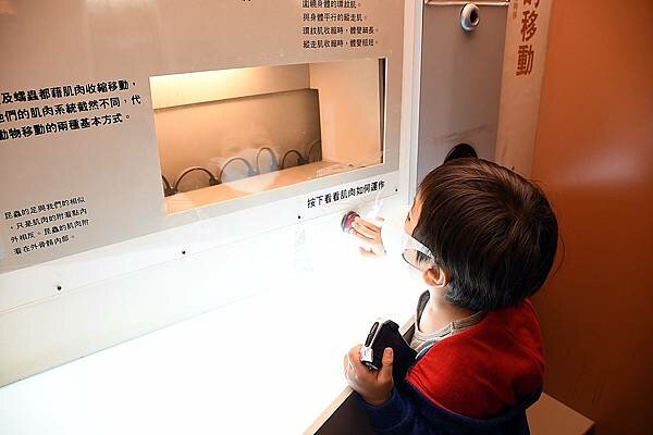 DSC_6617.JPG DSC_6617.JPG