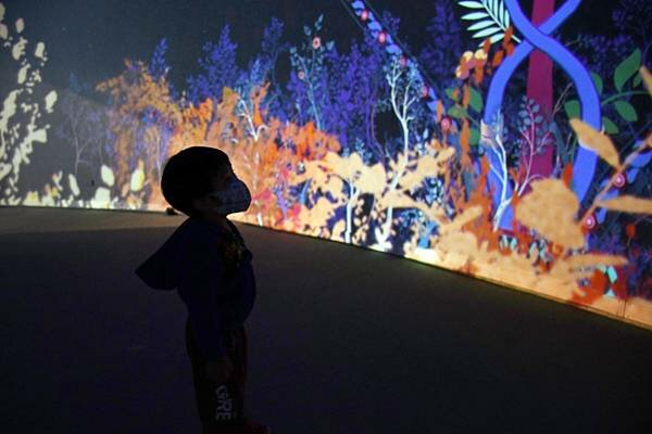 DSC_6667.JPG DSC_6667.JPG