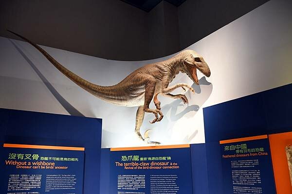 DSC_6632.JPG DSC_6632.JPG