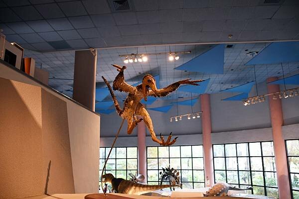 DSC_6633.JPG DSC_6633.JPG