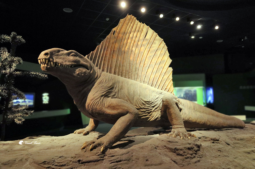 國立自然科學博物