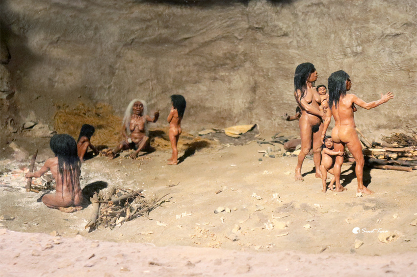 國立自然科學博物