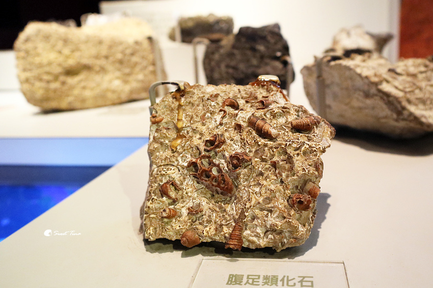 國立自然科學博物