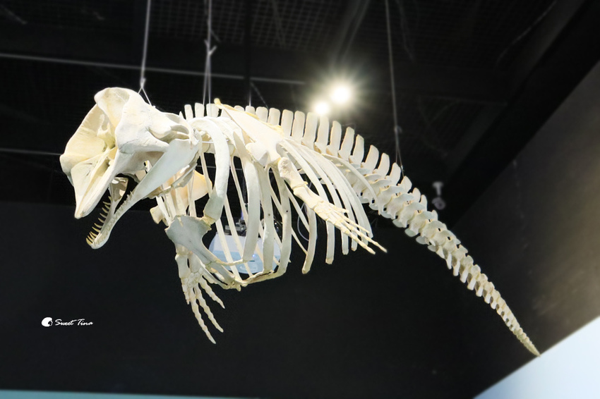 國立自然科學博物