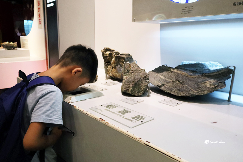 國立自然科學博物