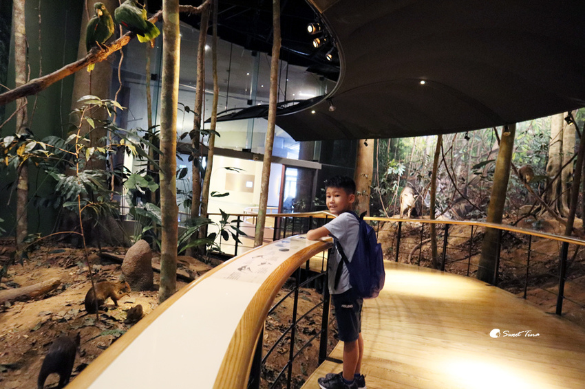 國立自然科學博物