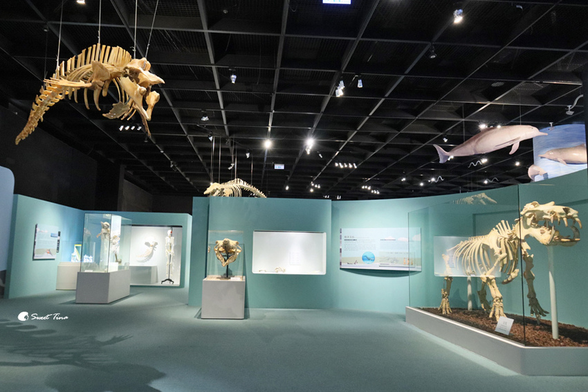 國立自然科學博物