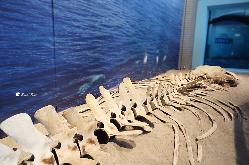 國立自然科學博物