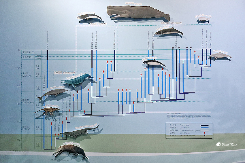 國立自然科學博物