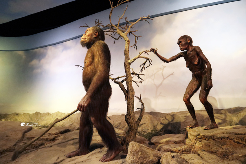 國立自然科學博物