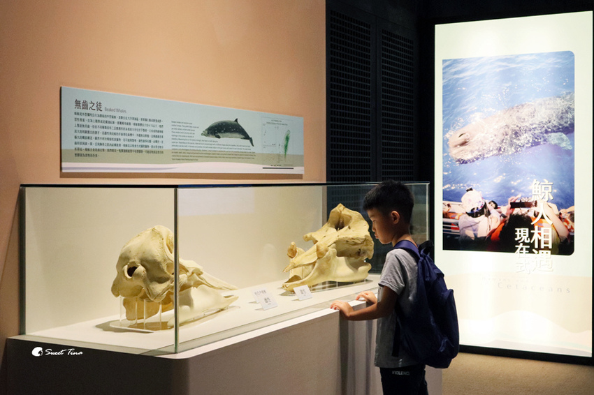 國立自然科學博物