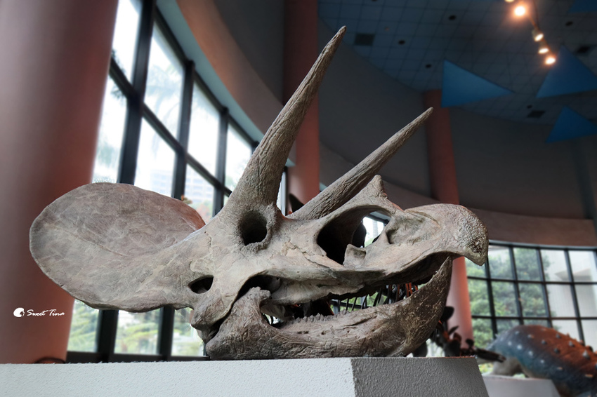 國立自然科學博物