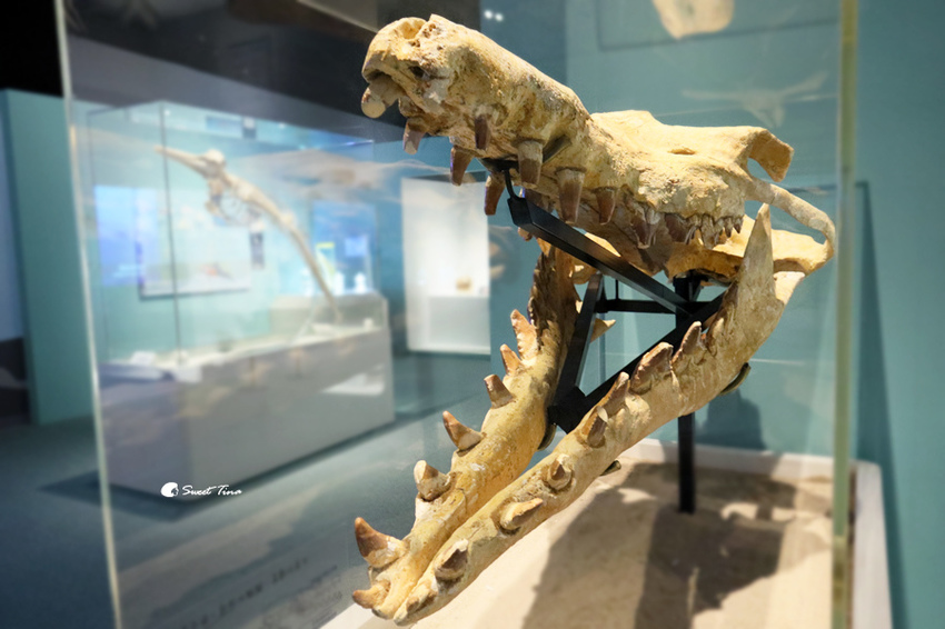 國立自然科學博物