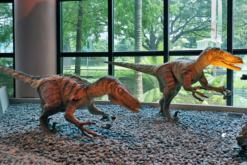 國立自然科學博物