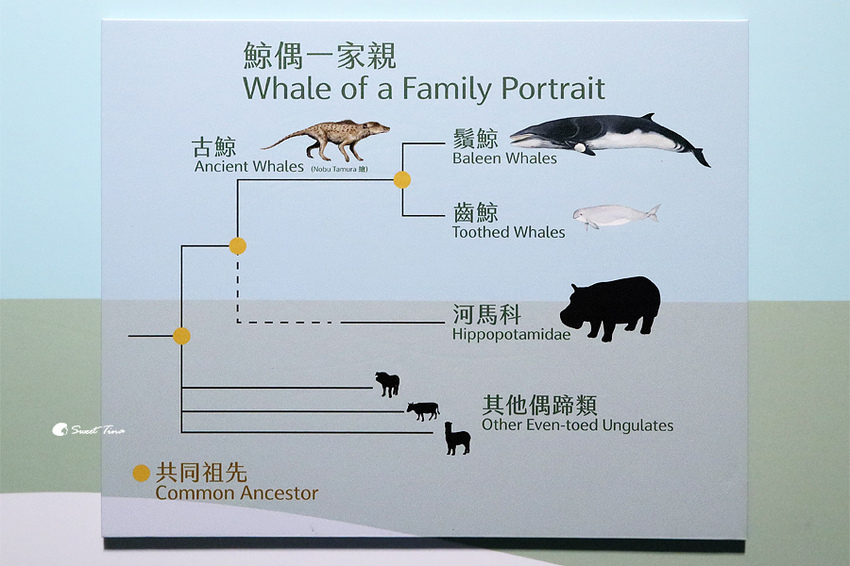 國立自然科學博物