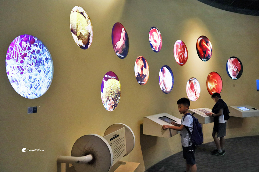 國立自然科學博物