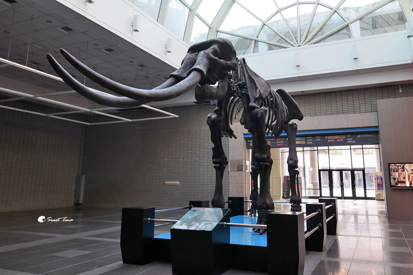 國立自然科學博物