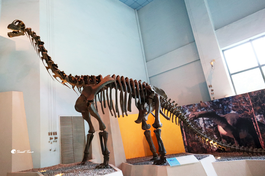 國立自然科學博物