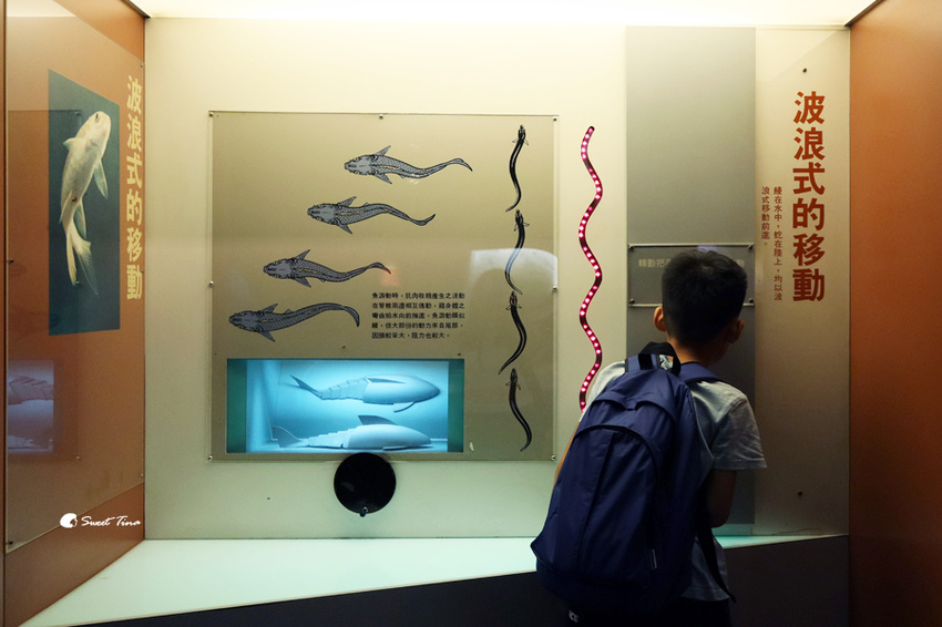 國立自然科學博物