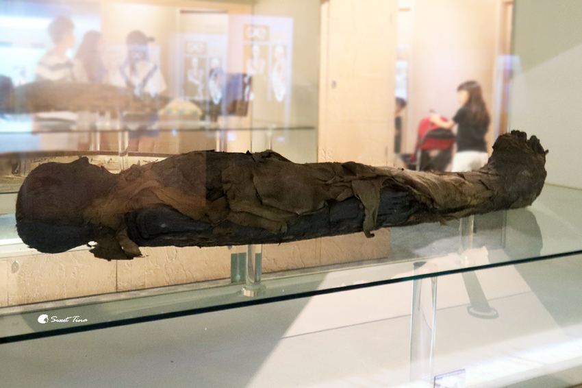 國立自然科學博物