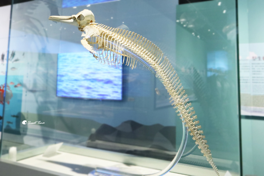 國立自然科學博物