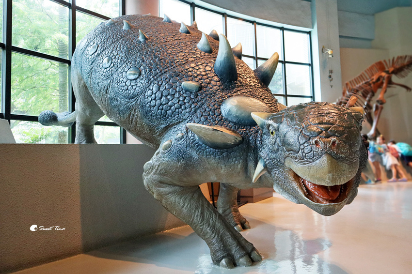 國立自然科學博物