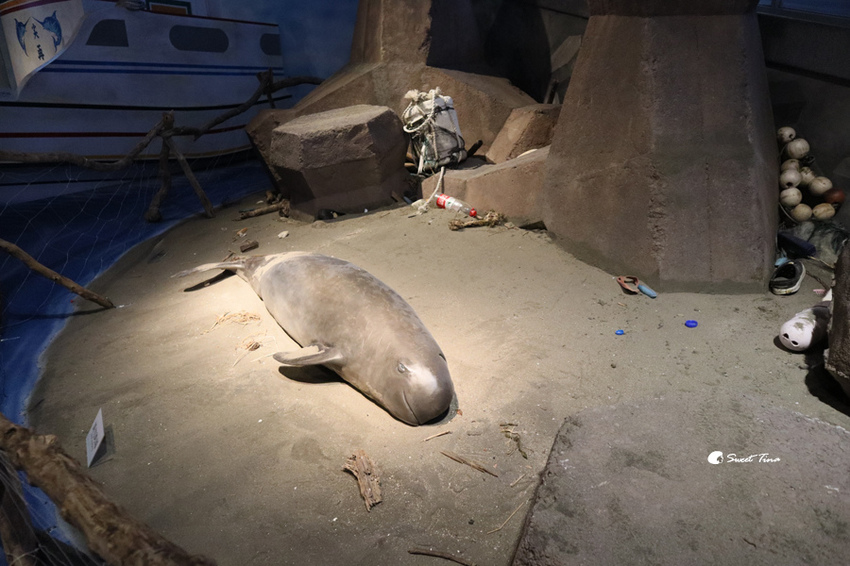 國立自然科學博物