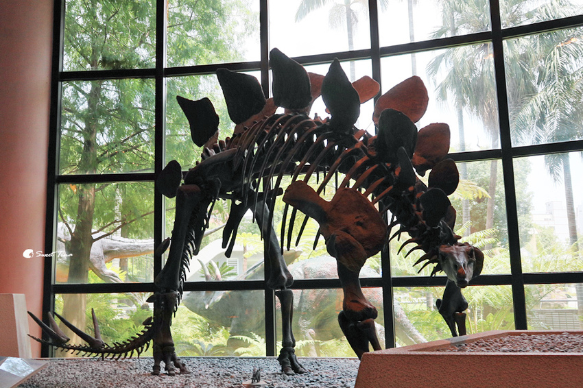 國立自然科學博物