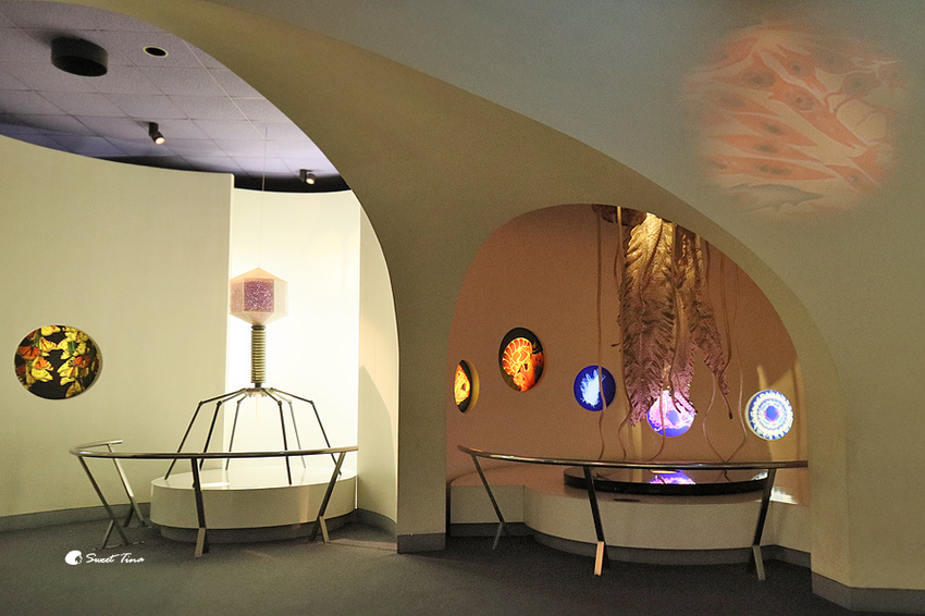 國立自然科學博物