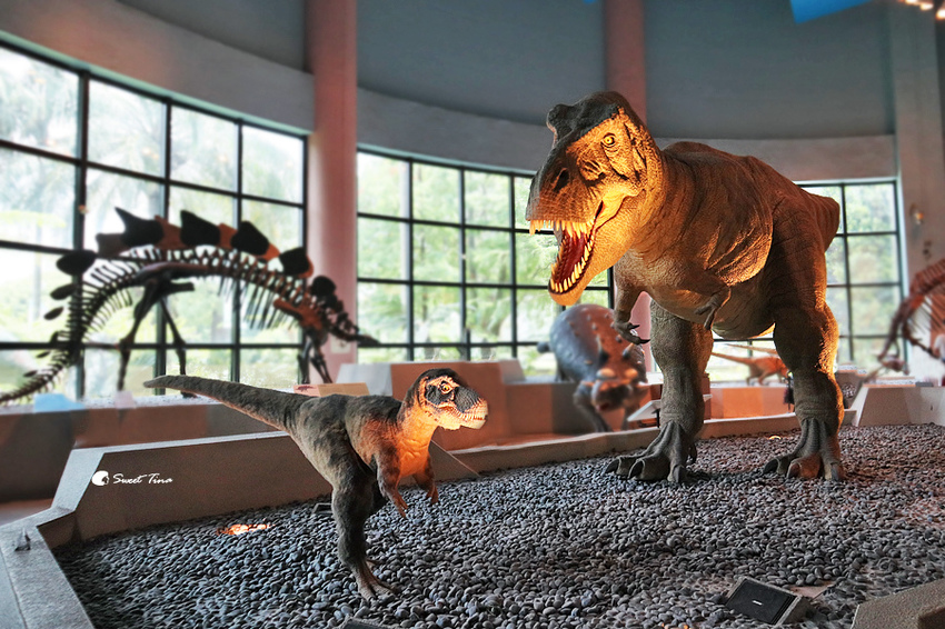 國立自然科學博物