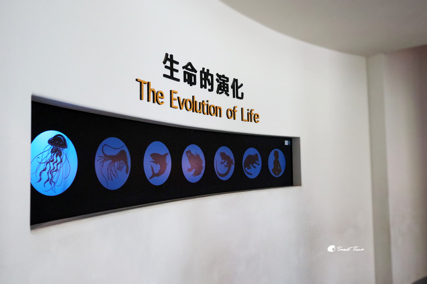 國立自然科學博物