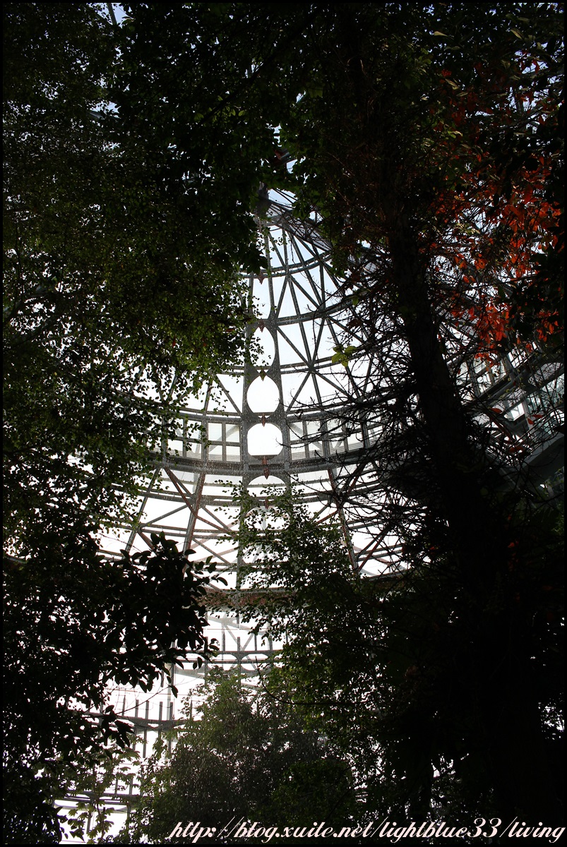 台中景点:台中植物园～都市里的热带雨林