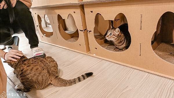 IMG20220712185424 IMG20220712185424