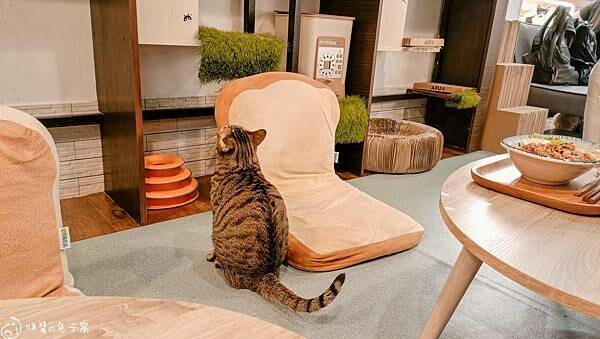 IMG20220712183655 IMG20220712183655