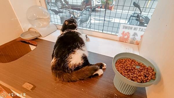 IMG20220712183256 IMG20220712183256