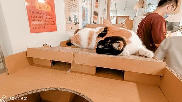 IMG20220712183145 IMG20220712183145