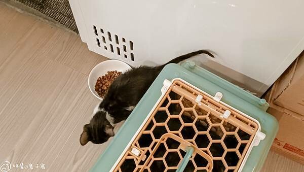 IMG20220712183850 IMG20220712183850