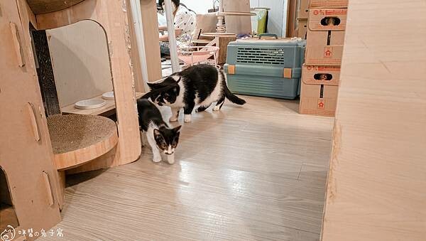 IMG20220712183942 IMG20220712183942