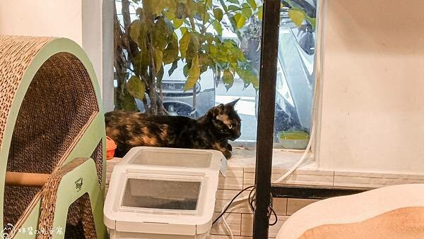 IMG20220712183052 IMG20220712183052