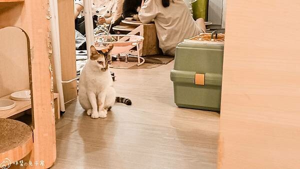 IMG20220712185028 IMG20220712185028