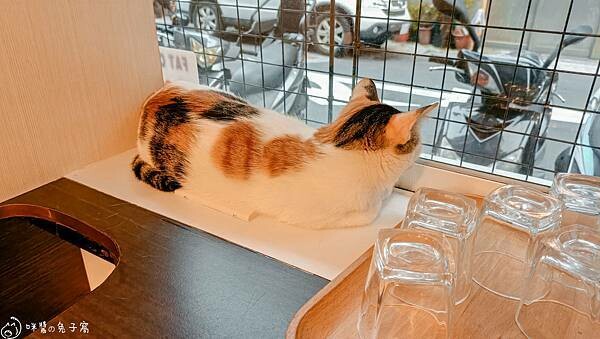 IMG20220712183232 IMG20220712183232