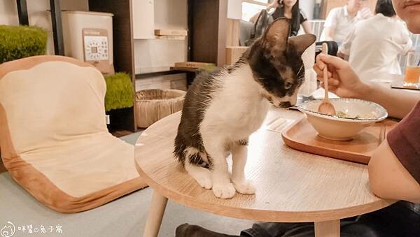 IMG20220712184657 IMG20220712184657