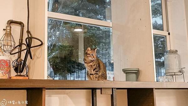 IMG20220712184546 IMG20220712184546