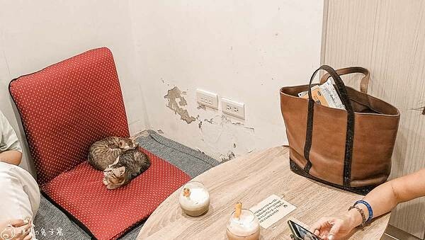 IMG20220712185453 IMG20220712185453