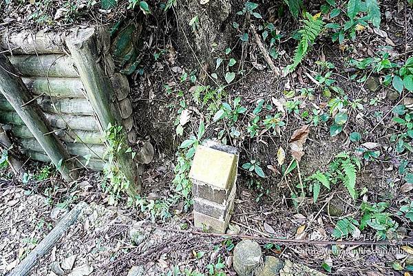 台中太平登山步道 太平蝙蝠洞 百蝙吊橋 太平半日遊 台中大坑步道   週末踏青趣   休閒級登山步道   太平半日遊 台中景點   太平蝙蝠洞 百蝙吊橋 蝙蝠洞登山步道 護國清涼寺  1DSC02372.JPG